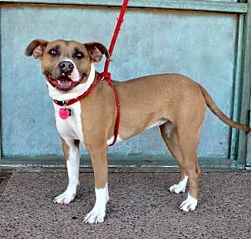Photo of Moxie