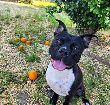 Photo of Etta