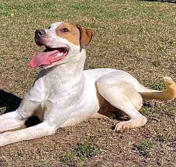 Photo of Malachi
