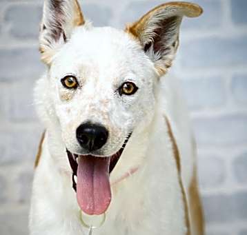 Photo of Mina