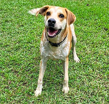 Photo of Maximus