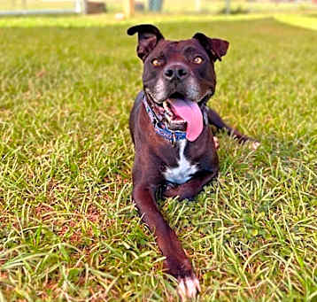 Photo of Neo Silly Sweet Kid Friendly Good Boy