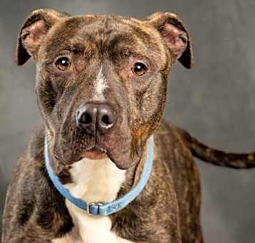 Photo of Jaxx