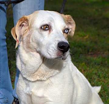 Photo of Annie