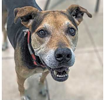 Photo of Sugar