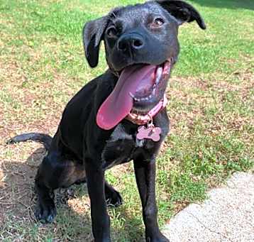 Photo of Sprout