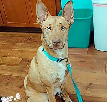 Photo of Coco