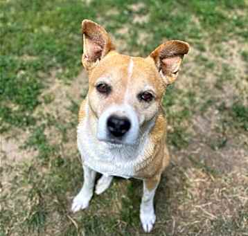 Photo of Luna