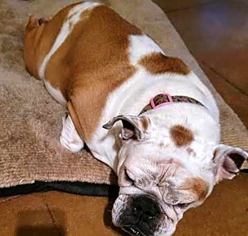 Photo of Wilma