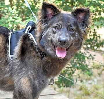 Photo of Ursa