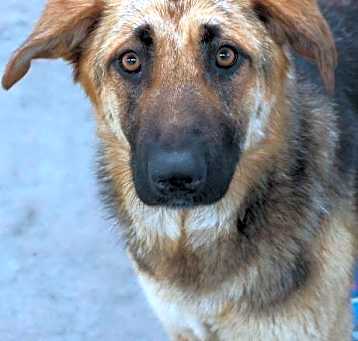 Photo of Mama Mimi