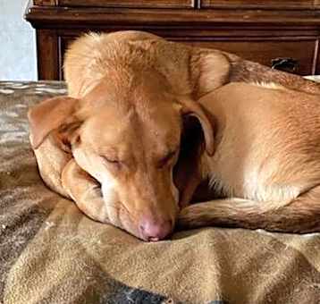 Photo of REMY