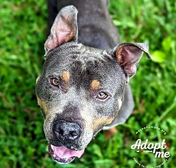 Photo of Vader