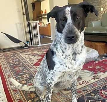 Photo of Bingo