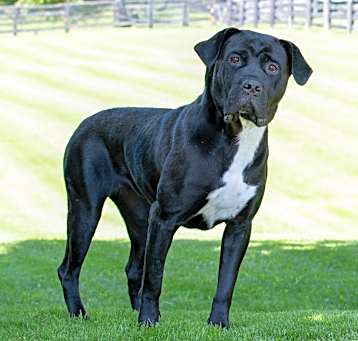 Photo of Nellie