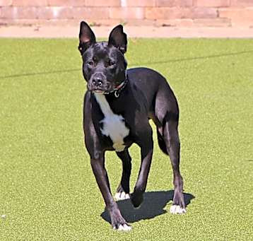 Photo of Ghost