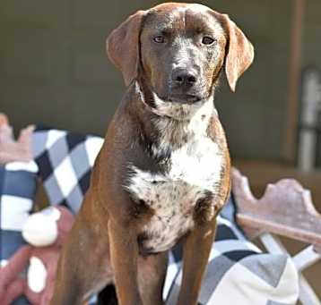 Photo of Mia (M Trio)