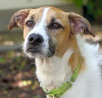 Photo of Thelma