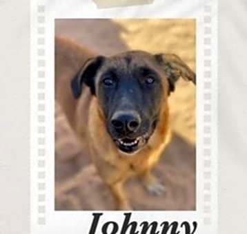 Photo of Johnny