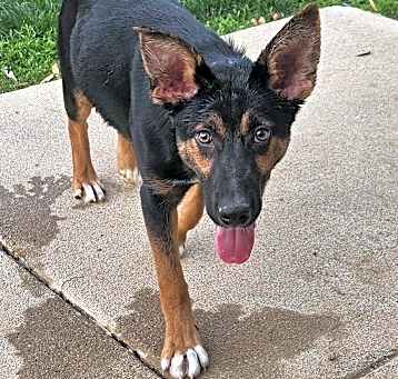 Photo of Ellie