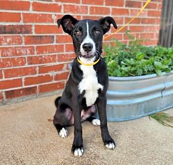 Photo of Eragon Earl