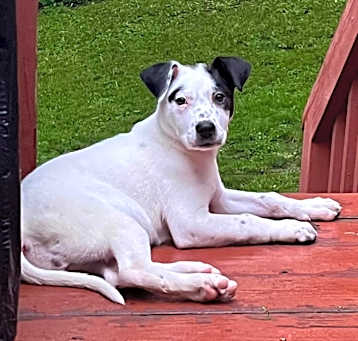 Photo of Roxy