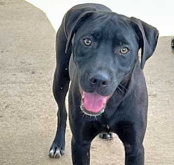 Photo of Jingle Bella