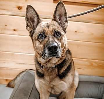 Photo of Oakley