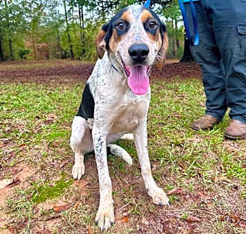 Photo of Cherokee