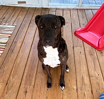Photo of Rogan