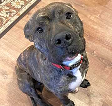 Photo of Luther