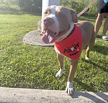 Photo of Bubba