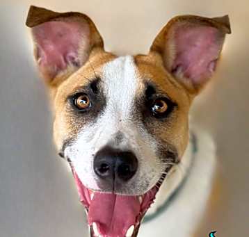 Photo of Major