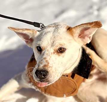 Photo of Winslow