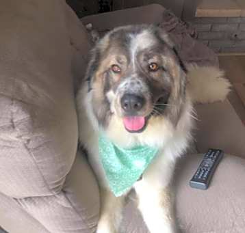 Photo of maggie