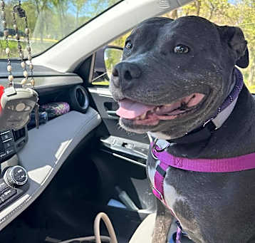 Photo of Mia