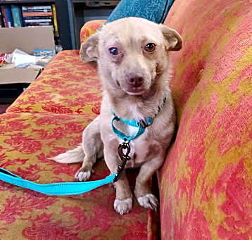 Photo of Honey