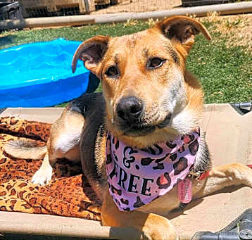 Photo of Annie