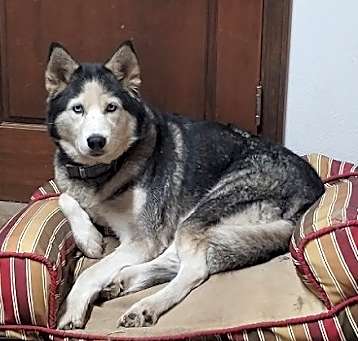 Photo of SAPPHIRE