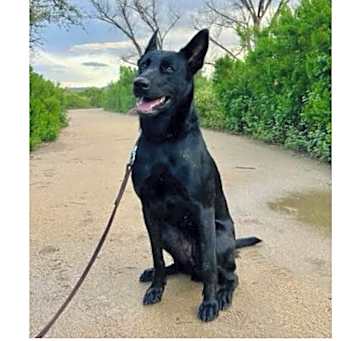 Photo of MAZZY