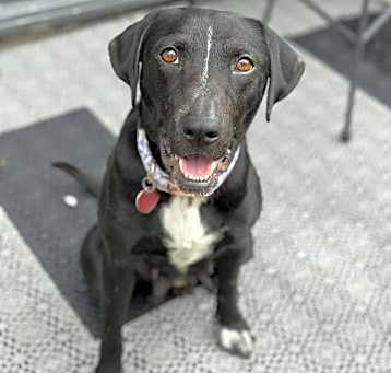 Photo of Hope