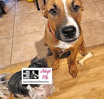 Photo of Eli PC