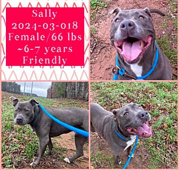Photo of 2024-03-018 *Sally*