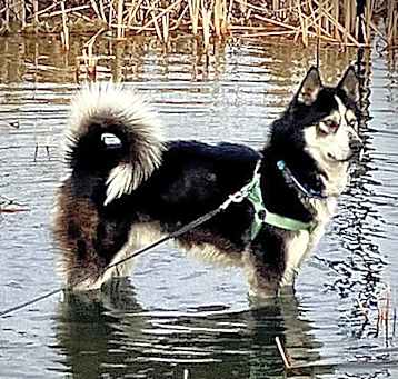 Photo of Seth