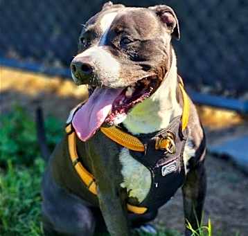 Photo of King 292636