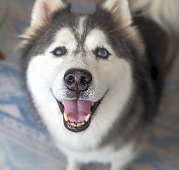 Photo of Riley-Courtesy Listing