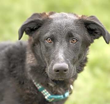 Photo of Daisy Mae