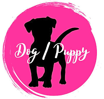 Photo of Dog/Puppy Generic