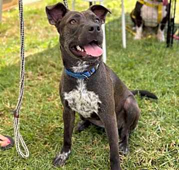 Photo of Ripley