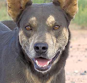 Photo of Micah